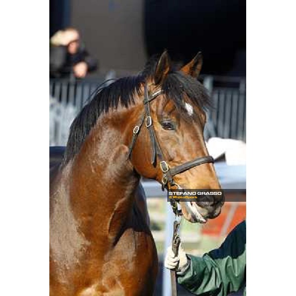 Democratic Deficit Roma, 7th february 2010 ph. Stefano Grasso