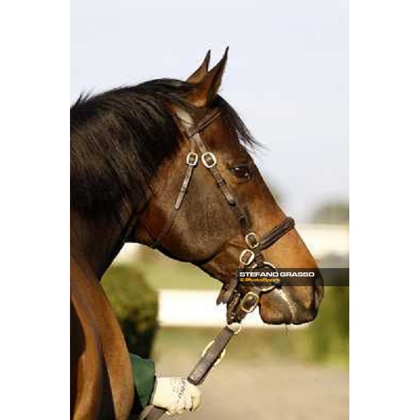 Tout Seul Roma, 7th february 2010 ph. Stefano Grasso