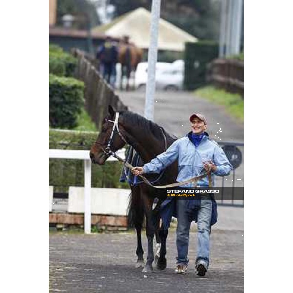 Frammassone walks before winning the 60.a Gran Corsa Siepi di Roma Roma, 14th february 2010 ph. Stefano Grasso