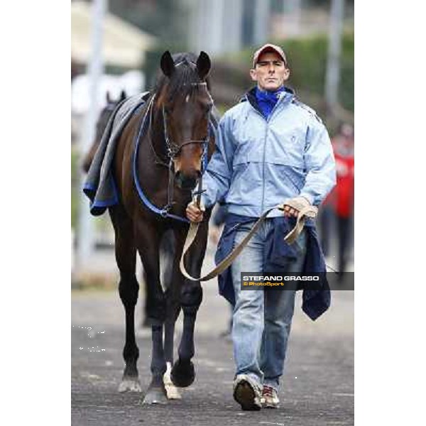 Frammassone walks before winning the 60.a Gran Corsa Siepi di Roma Roma, 14th february 2010 ph. Stefano Grasso