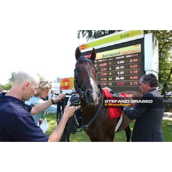 Luca and Sara Cumani prepare Le Vie Dei Colori The Cantor Odds Sussex Stakes Glorious Goodwood 28 th july 2004 ph. Stefano Grasso