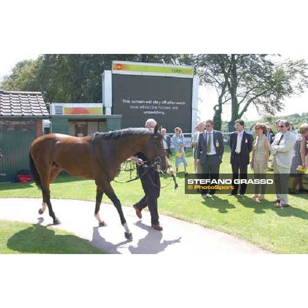 Emma and Paolo Agostini look at Le Vie Dei Colori in the unsaddling ring The Cantor Odds Sussex Stakes Glorious Goodwood 28 th july 2004 ph. Stefano Grasso