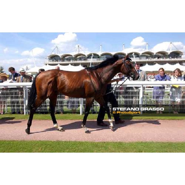 Le Vie dei Colori in the unsaddling ring The Cantor Odds Sussex Stakes Glorious Goodwood 28 th july 2004 ph. Stefano Grasso