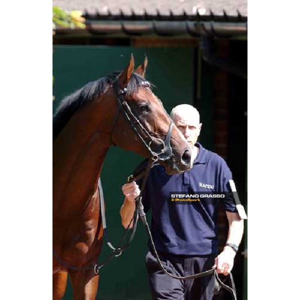 Le Vie dei Colori The Cantor Odds Sussex Stakes Glorious Goodwood 28 th july 2004 ph. Stefano Grasso