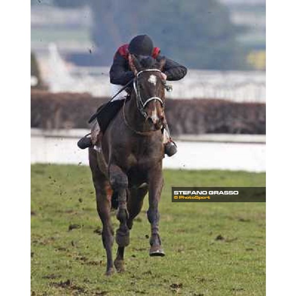 St Petersbourg with Paul A.Johnson goes to win the 121¡ Grande Steeple Chase di Romna - Mem. Gen. Mario Argenton Rome, 14th february 2010 ph. Stefano Grasso