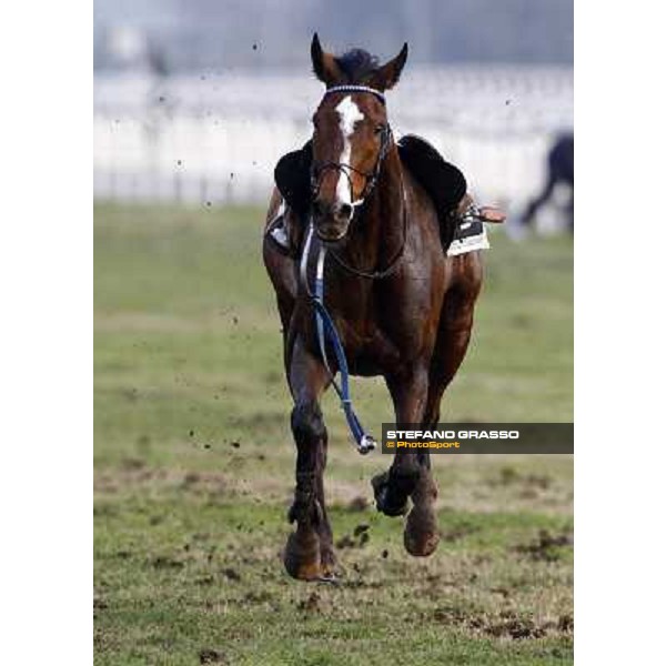 Manacerace arriving without his jockey during the 121¡ Grande Steeple Chase di Romna - Mem. Gen. Mario Argenton Rome, 14th february 2010 ph. Stefano Grasso