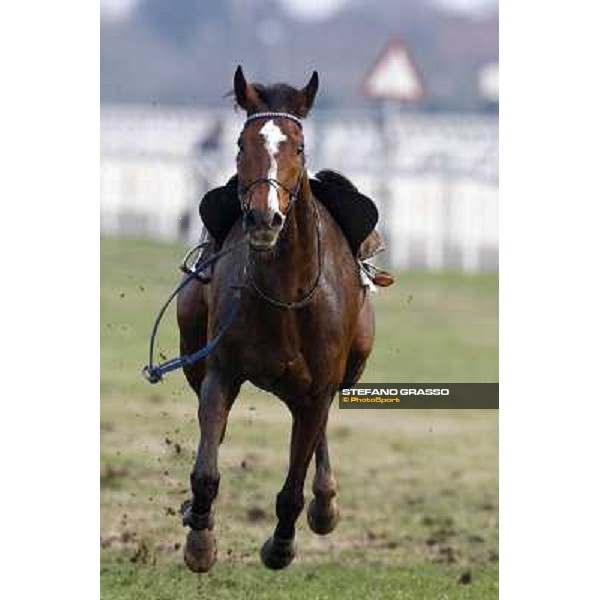 Manacerace arrives without his jockey during the 121¡ Grande Steeple Chase di Romna - Mem. Gen. Mario Argenton Rome, 14th february 2010 ph. Stefano Grasso