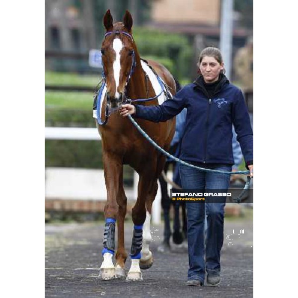 Wycherley parades before the start of 60.o Gran Corsa Siepi Roma, 14th february 2010 ph. Stefano Grasso