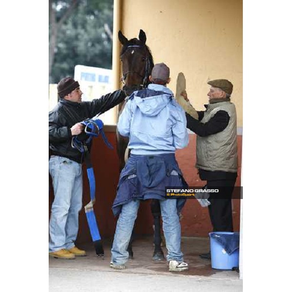 Franco Contu prepares Frammassone before winning the 60.a Gran Corsa Siepi di Roma. Roma, 14th february 2010 ph. Stefano Grasso