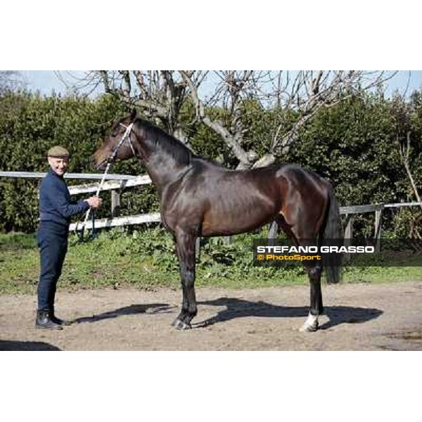 Franco Contu pictured with Frammassone at Franco Contu\'s stable Rome, 21st february 2010 ph. Stefano Grasso