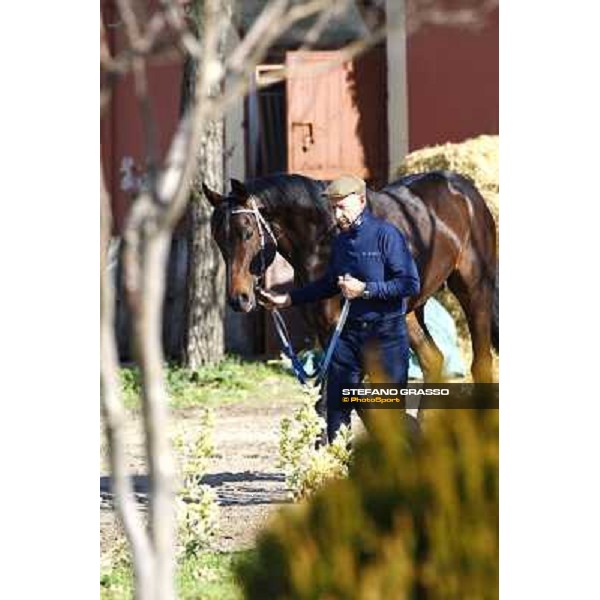 Franco Contu pictured with Frammassone at Franco Contu\'s stable Rome, 21st february 2010 ph. Stefano Grasso