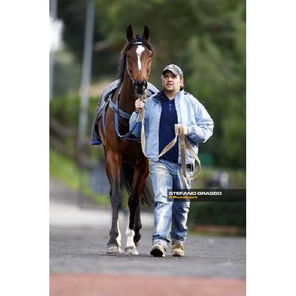 Eppursimuove before the start of Premio Neni da Zara Rome, 21st february 2010 ph. Stefano Grasso