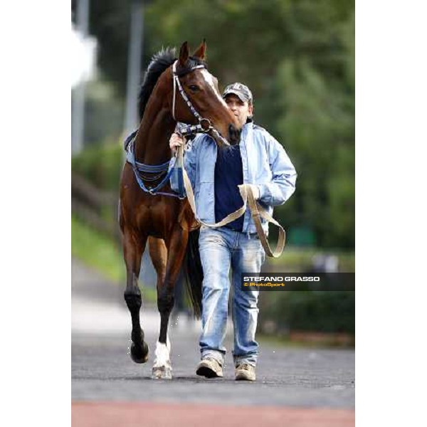 Eppursimuove before the start of Premio Neni da Zara Rome, 21st february 2010 ph. Stefano Grasso