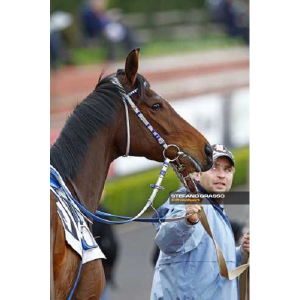Eppursimuove before the start of Premio Neni Da Zara Rome, 21st february 2010 ph. Stefano Grasso