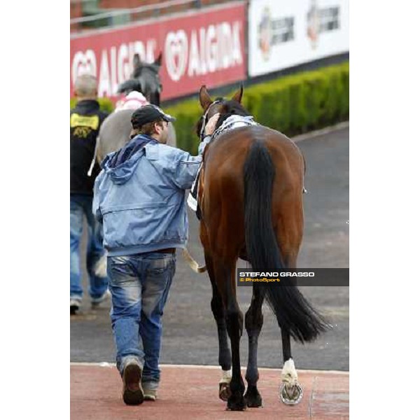 Eppursimuove before the start of Premio Neni Da Zara Rome, 21st february 2010 ph. Stefano Grasso