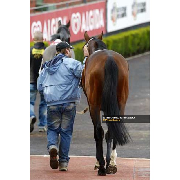 Eppursimuove before the start of Premio Neni Da Zara Rome, 21st february 2010 ph. Stefano Grasso