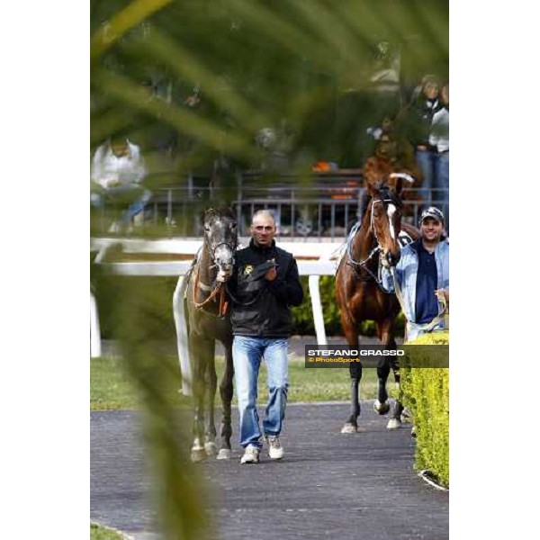 Rumba Sound and Eppursimuove before the start of Premio Neni Da Zara Rome, 21st february 2010 ph. Stefano Grasso