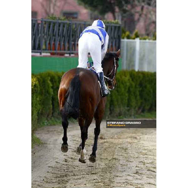 Dirk Fuhrmann on Eppursimuove before the start of Premio Neni Da Zara Rome, 21st february 2010 ph. Stefano Grasso