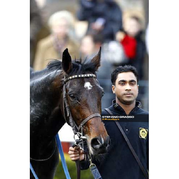 Leuci Lamps after winning the Premio Ippodromo Pardubice Rome, 21st february 2010 ph. Stefano Grasso