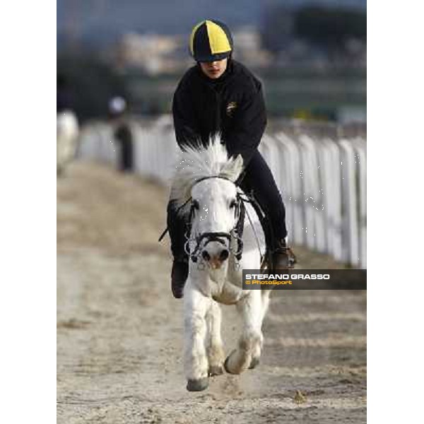 pony races at Capannelle Rome, 21st february 2010 ph. Stefano Grasso