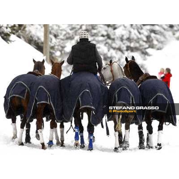 Cortina Winter Polo Gold Cup Lake of Misurina, 26th fevruary 2010 ph. Stefano Grasso