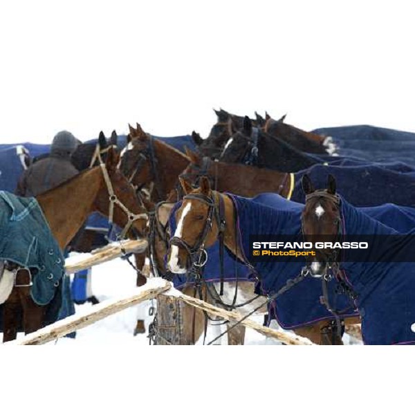 Cortina Winter Polo Gold Cup Lake of Misurina, 26th fevruary 2010 ph. Stefano Grasso