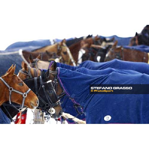 Cortina Winter Polo Gold Cup Lake of Misurina, 26th fevruary 2010 ph. Stefano Grasso