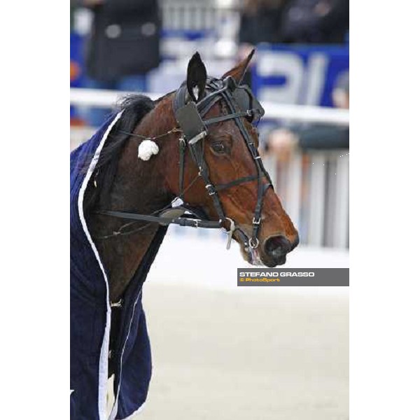 a close up for Lisa America after winning the Gran Premio E.N.C.A.T - Mem. Fausto Branchini Milan San Siro, 27th february 2010 ph. Stefano Grasso