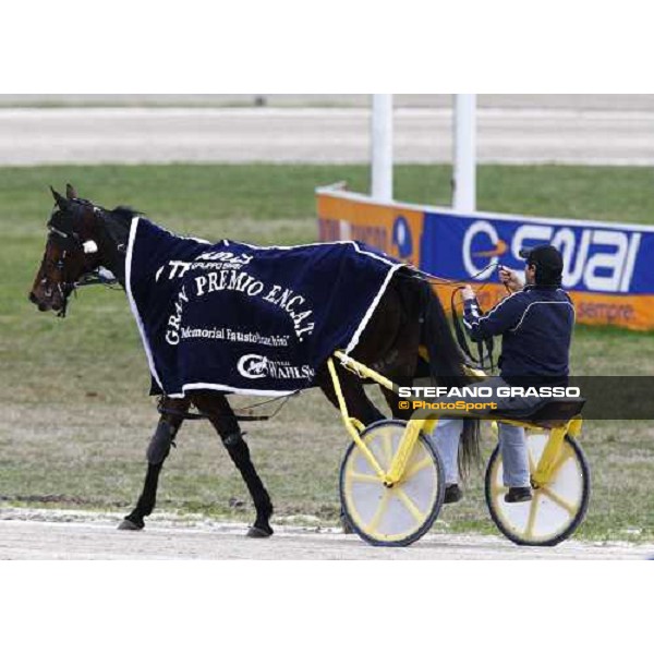 Lisa America returns home after winning the Gran Premio E.N.C.A.T - Mem. Fausto Branchini Milan San Siro, 27th february 2010 ph. Stefano Grasso