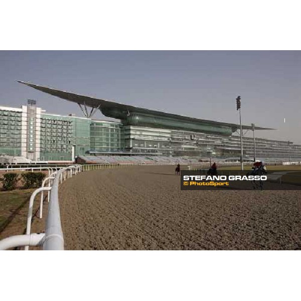 morning trak works at Meydan racecourse Dubai - Meydan, 7th march 2010 ph. Stefano Grasso