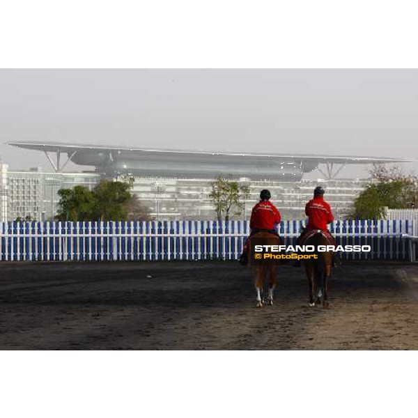 Morning track works at Meydan racecourse Dubai - Meydan, 7th march 2010 ph. Stefano Grasso