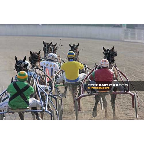 the straight at Le Padovanelle racetrack Ponte di Brenta (PD), 14th march 2010 ph. Stefano Grasso