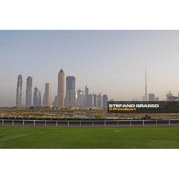 a horse exercising at Godolphin Media Morning with the Dubai skyline in the background Dubai - Al Quoz, 24th march 2010 ph. Stefano Grasso