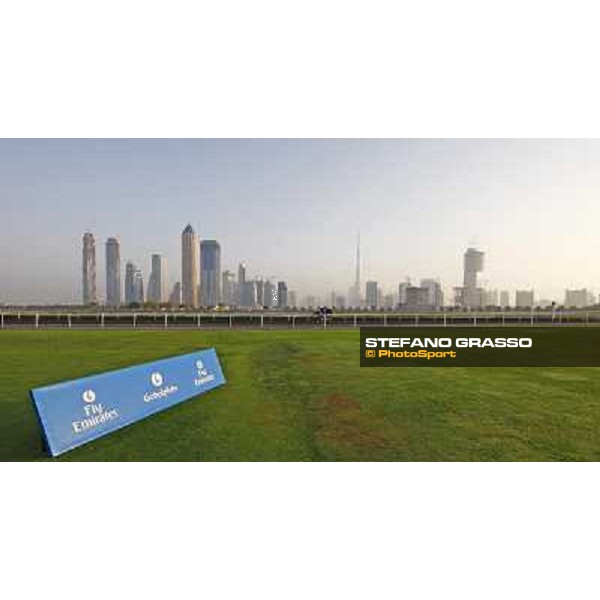 a horse exercising at Al Quoz with the Dubai skyline in the background Dubai - Al Quoz, 24th march 2010 ph. Stefano Grasso