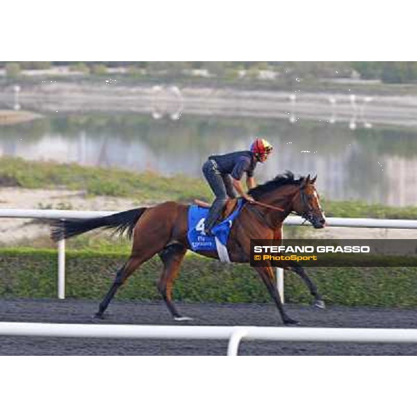 Frankie Dettori on Layali Al Andalus during morning trackworks at Godolphin Media Morning Dubai - Al Quoz, 24th march 2010 ph. Stefano Grasso