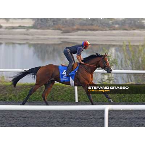 Frankie Dettori on Layali Al Andalus during morning trackworks at Godolphin Media Morning Dubai - Al Quoz, 24th march 2010 ph. Stefano Grasso