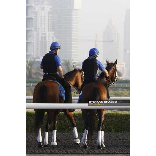 two horses prepare for morning trackworks at Godolphin Media Morning Dubai - Al Quoz, 24th march 2010 ph. Stefano Grasso