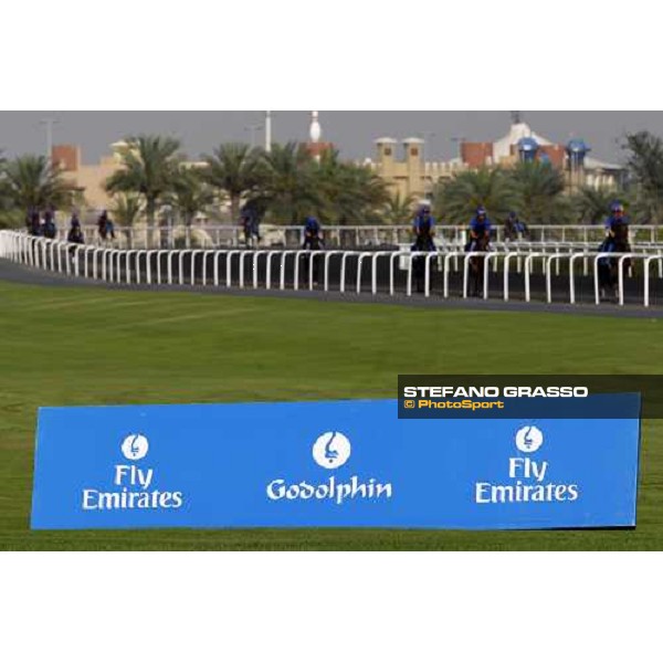 Godolphin Media Morning Dubai - Al Quoz, 24th march 2010 ph. Stefano Grasso