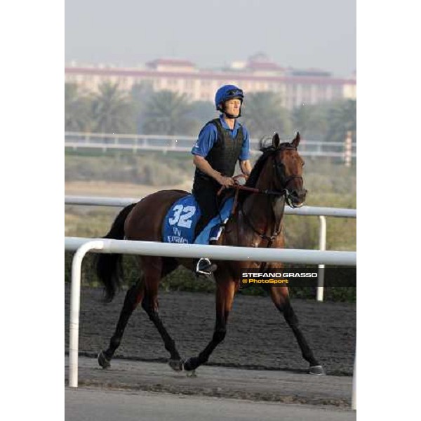 Firebet working at Al Quoz during the Godolphin Media Morning Dubai - Al Quoz, 24th march 2010 ph. Stefano Grasso