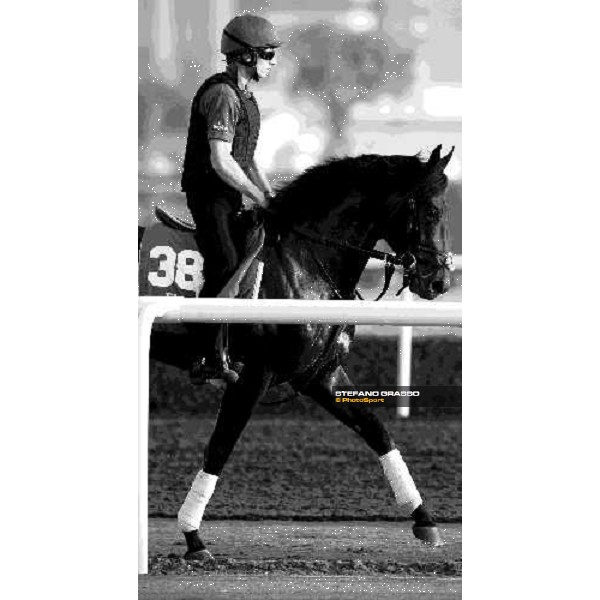 Multames working at Al Quoz during the Godolphin Media Morning Dubai - Al Quoz, 24th march 2010 ph. Stefano Grasso