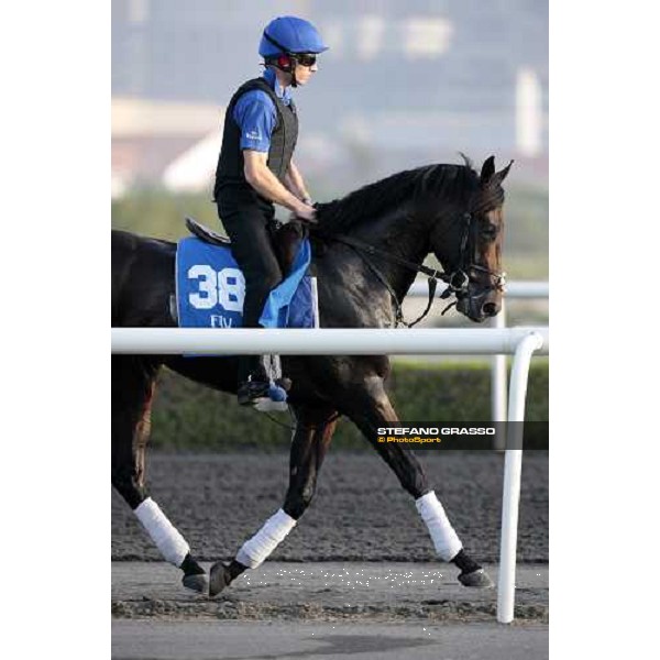 Multames working at Al Quoz during the Godolphin Media Morning Dubai - Al Quoz, 24th march 2010 ph. Stefano Grasso