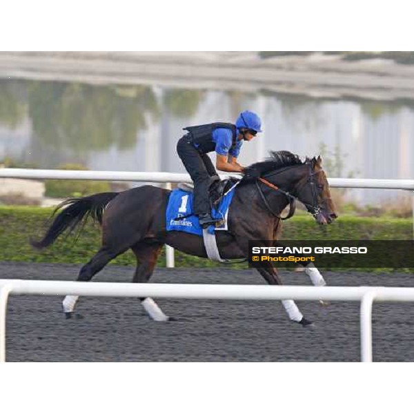 Sirocco Breeze working at Al Quoz during the Godolphin Media Morning Dubai - Al Quoz, 24th march 2010 ph. Stefano Grasso