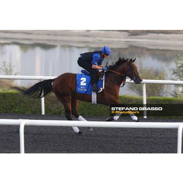 Poet\'s Voice working at Al Quoz during the Godolphin Media Morning Dubai - Al Quoz, 24th march 2010 ph. Stefano Grasso