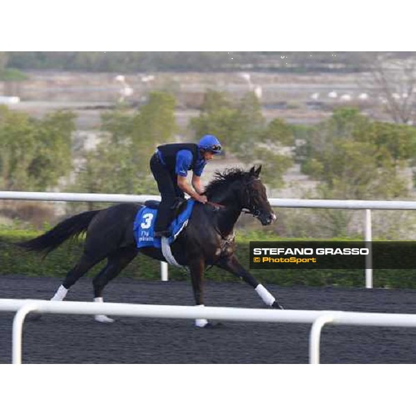 Mendip working at Al Quoz during the Godolphin Media Morning Dubai - Al Quoz, 24th march 2010 ph. Stefano Grasso