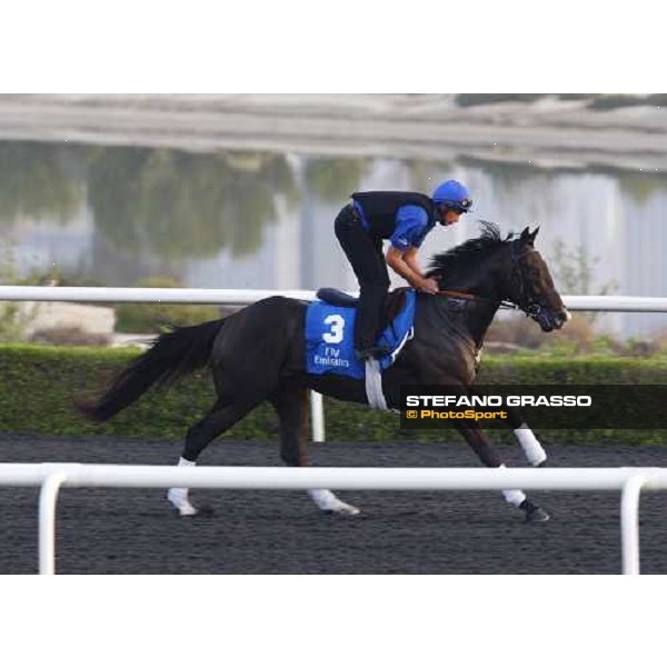 Mendip working at Al Quoz during the Godolphin Media Morning Dubai - Al Quoz, 24th march 2010 ph. Stefano Grasso