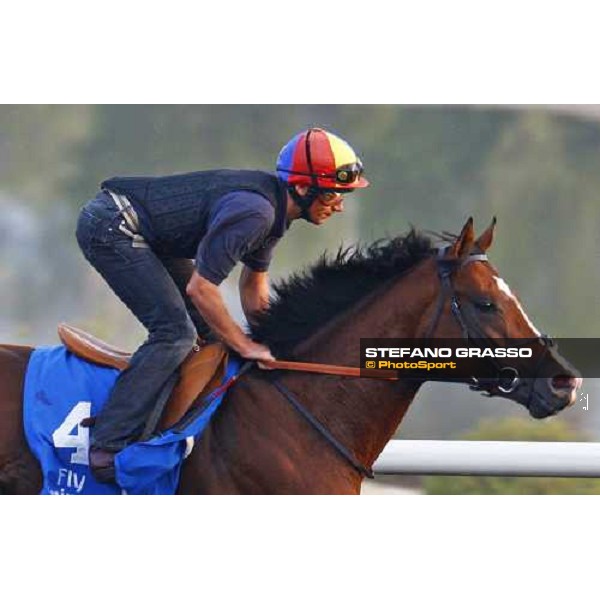 Frankie Dettori on Layali Al Andalus working at Al Quoz during the Godolphin Media Morning Dubai - Al Quoz, 24th march 2010 ph. Stefano Grasso