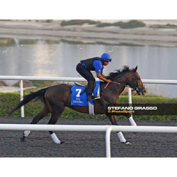 Once More Dubai working at Al Quoz during the Godolphin Media Morning Dubai - Al Quoz, 24th march 2010 ph. Stefano Grasso