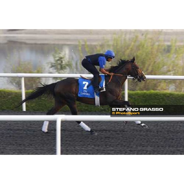 Once More Dubai working at Al Quoz during the Godolphin Media Morning Dubai - Al Quoz, 24th march 2010 ph. Stefano Grasso