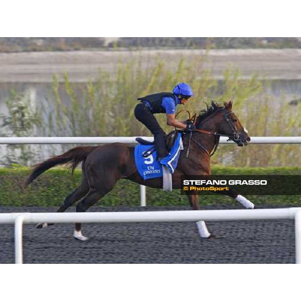 Alexandros working at Al Quoz during the Godolphin Media Morning Dubai - Al Quoz, 24th march 2010 ph. Stefano Grasso