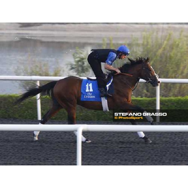 Delegator working at Al Quoz during the Godolphin Media Morning Dubai - Al Quoz, 24th march 2010 ph. Stefano Grasso